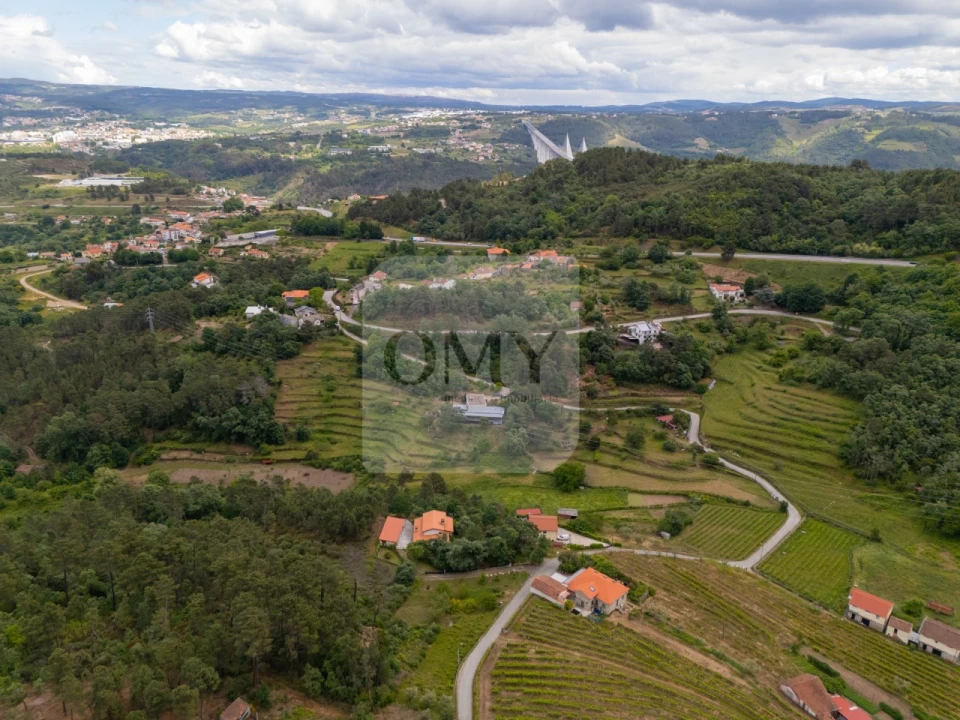 Terreno para Venda em Parada de Cunhos Foto 16