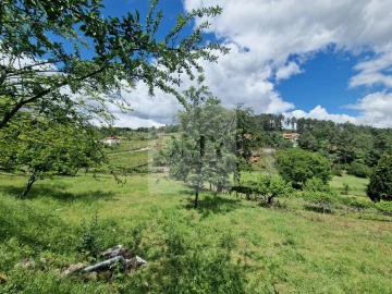 Terreno para Venda em Parada de Cunhos
