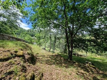 Terreno para Venda em Parada de Cunhos