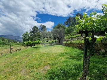 Terreno para Venda em Parada de Cunhos