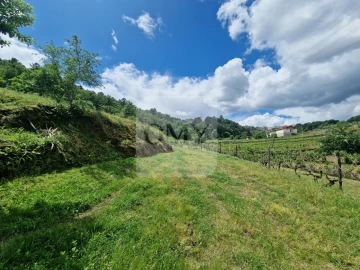 Terreno para Venda em Parada de Cunhos