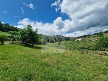 Terreno para Venda em Parada de Cunhos