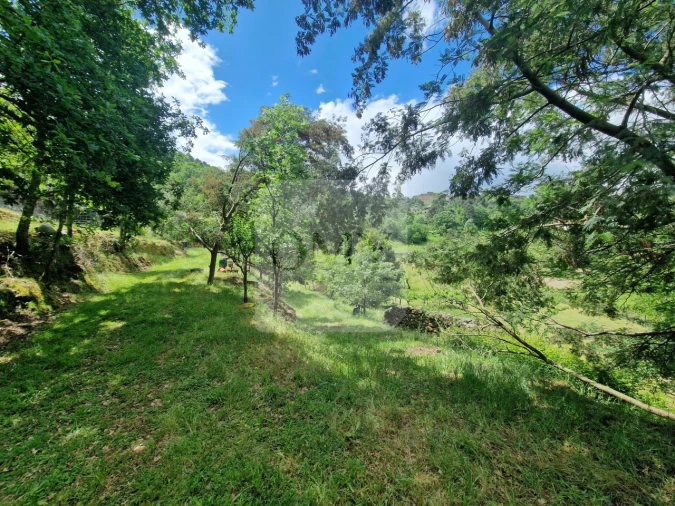 Terreno para Venda em Parada de Cunhos Foto 8