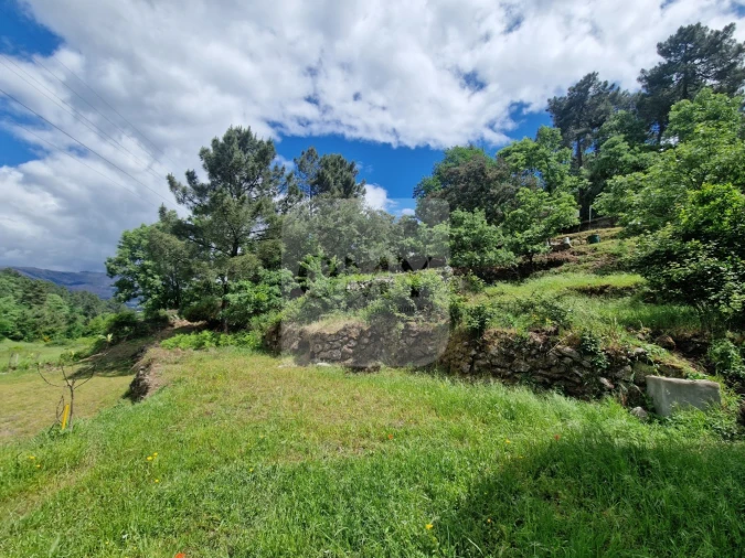 Terreno para Venda em Parada de Cunhos Foto 10