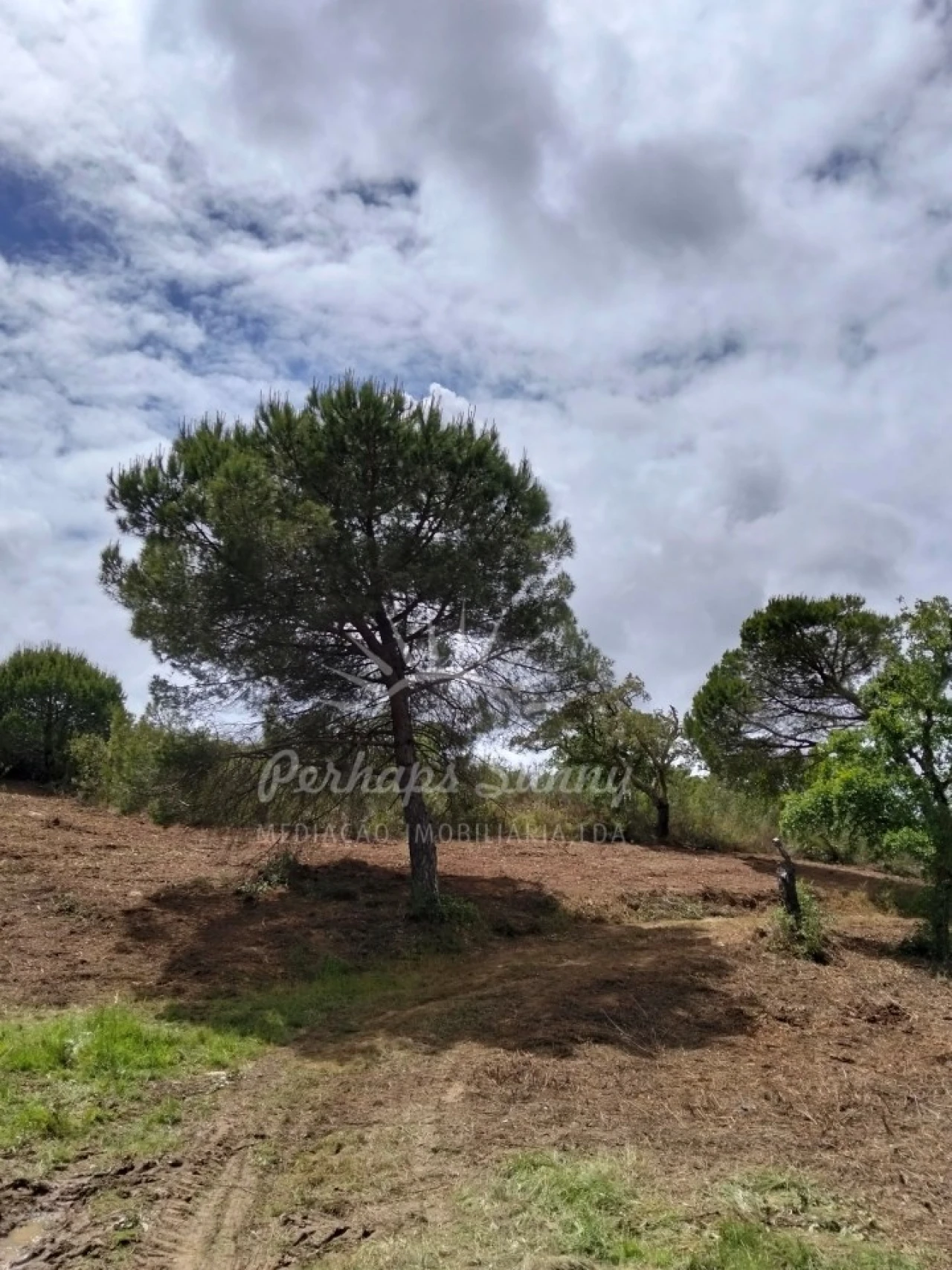 Terreno Misto para Venda em São Francisco da Serra Foto 8