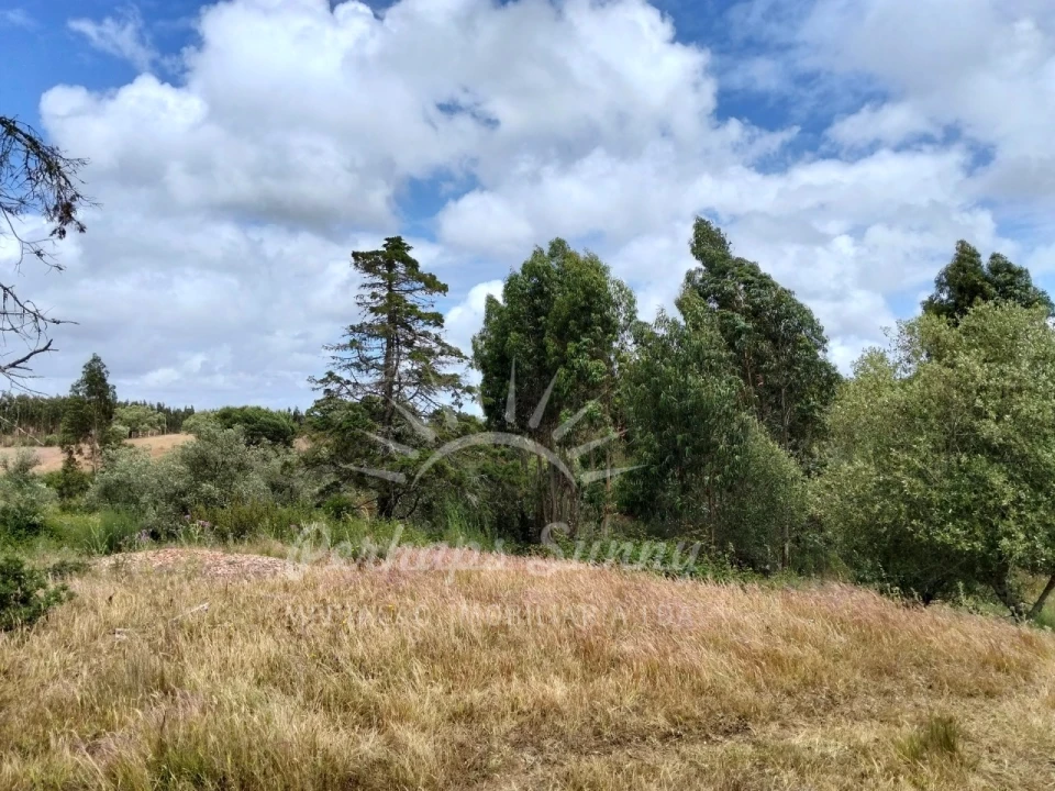 Terreno Misto para Venda em São Francisco da Serra Foto 11