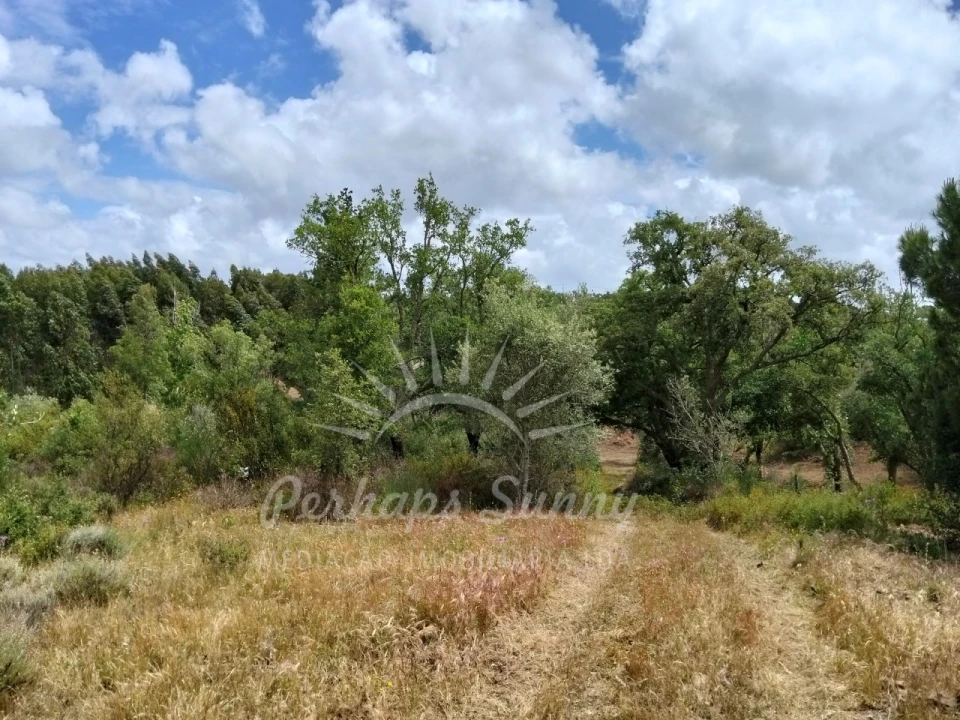 Terreno Misto para Venda em São Francisco da Serra Foto 12