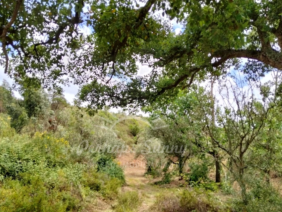 Terreno Misto para Venda em São Francisco da Serra Foto 14