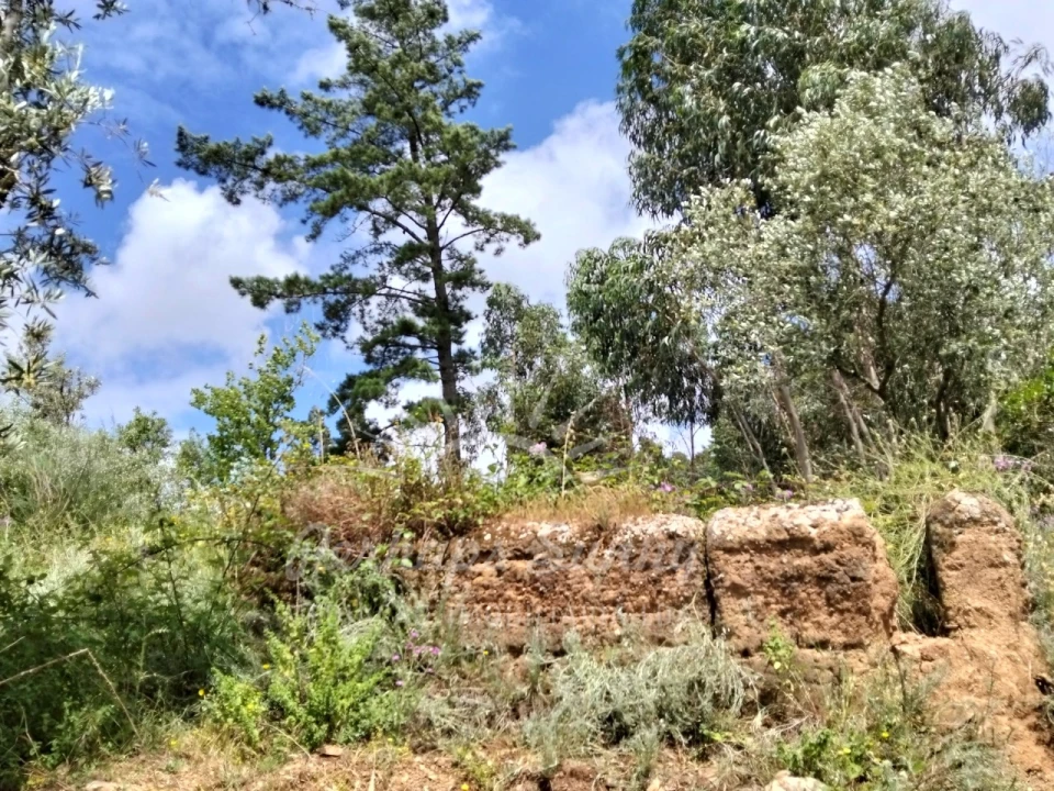 Terreno Misto para Venda em São Francisco da Serra Foto 15