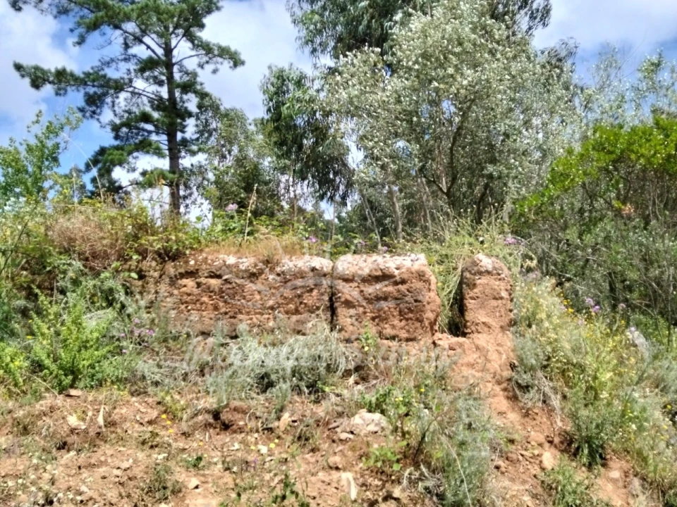 Terreno Misto para Venda em São Francisco da Serra Foto 16