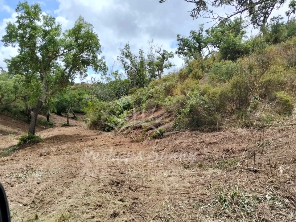 Terreno Misto para Venda em São Francisco da Serra Foto 17
