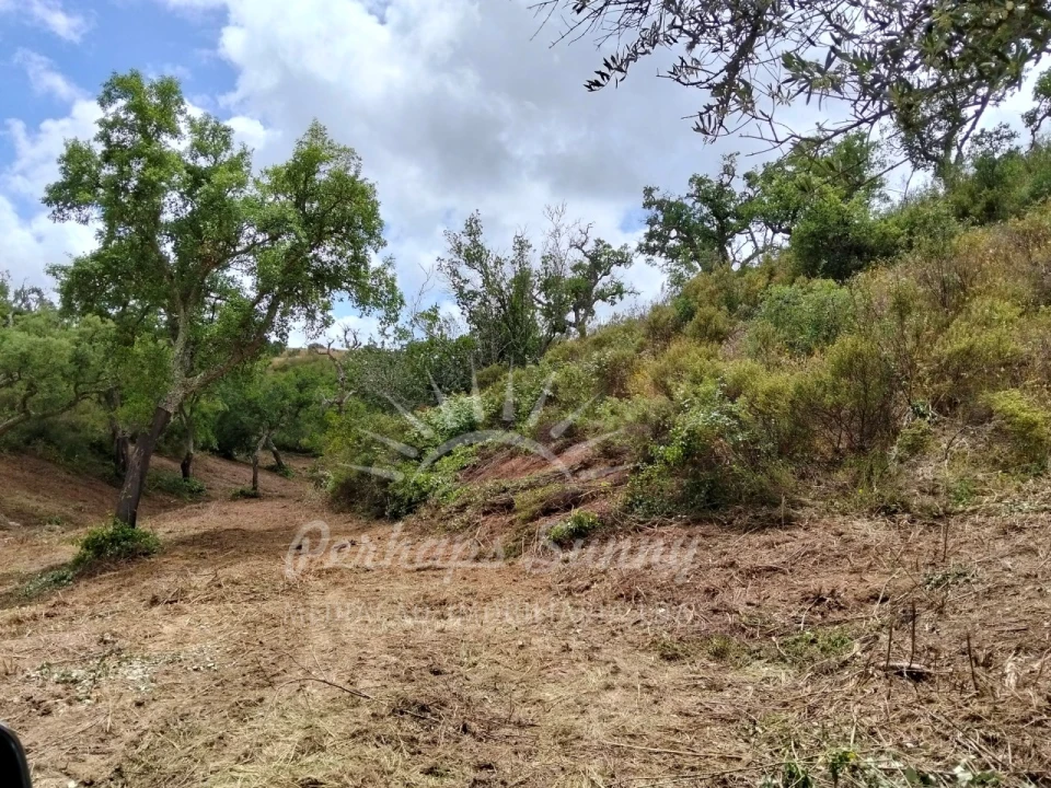 Terreno Misto para Venda em São Francisco da Serra Foto 18