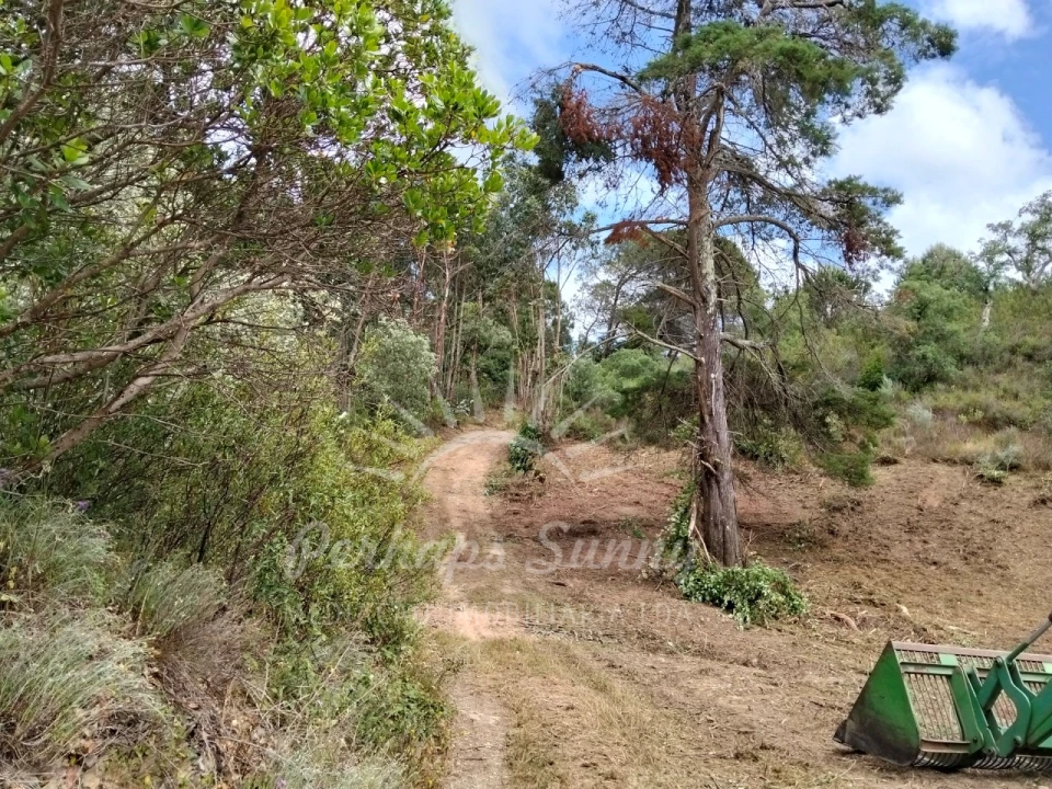 Terreno Misto para Venda em São Francisco da Serra Foto 19