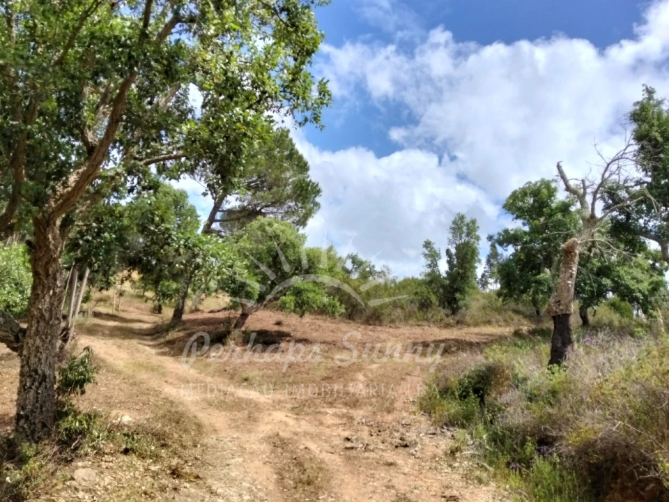 Terreno Misto para Venda em São Francisco da Serra Foto 22