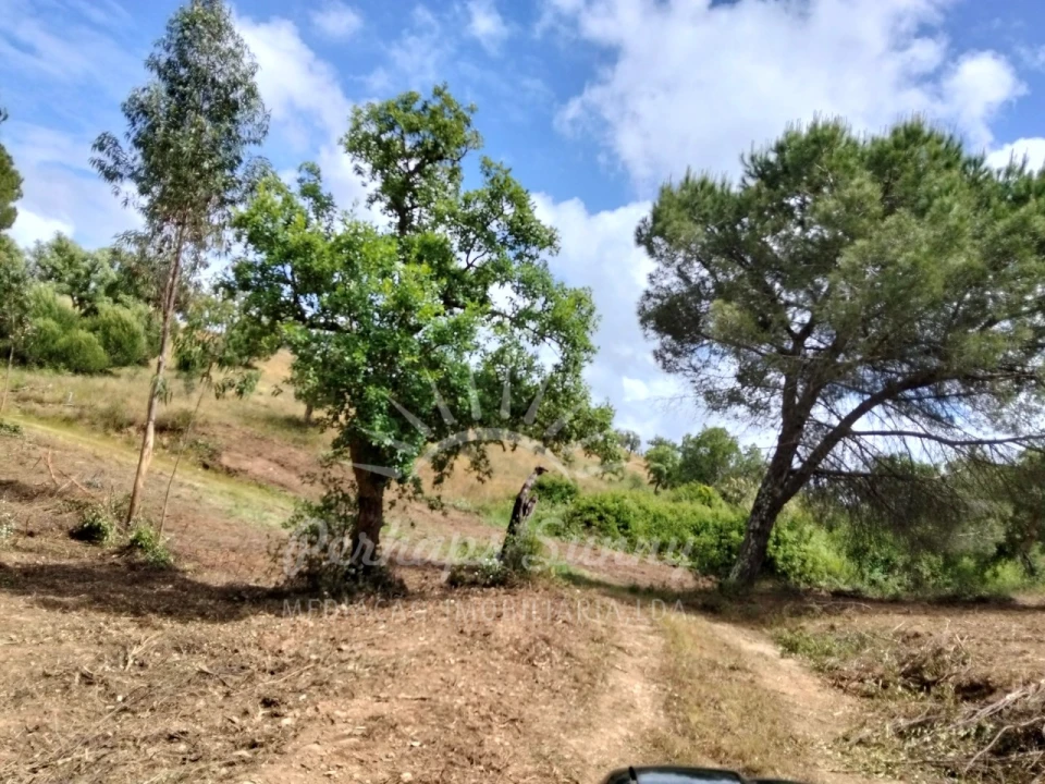 Terreno Misto para Venda em São Francisco da Serra Foto 24
