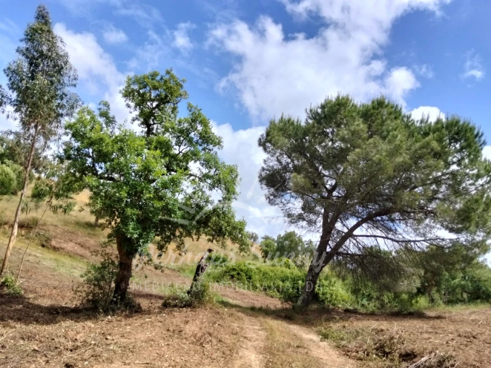 Terreno Misto para Venda em São Francisco da Serra Foto 25