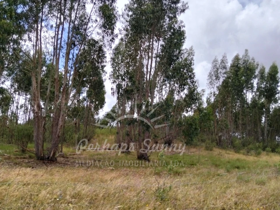 Terreno Misto para Venda em São Francisco da Serra Foto 28
