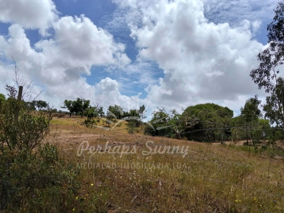 Terreno Misto para Venda em São Francisco da Serra Foto 29