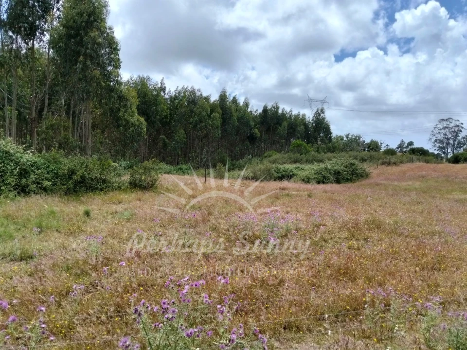 Terreno Misto para Venda em São Francisco da Serra Foto 30