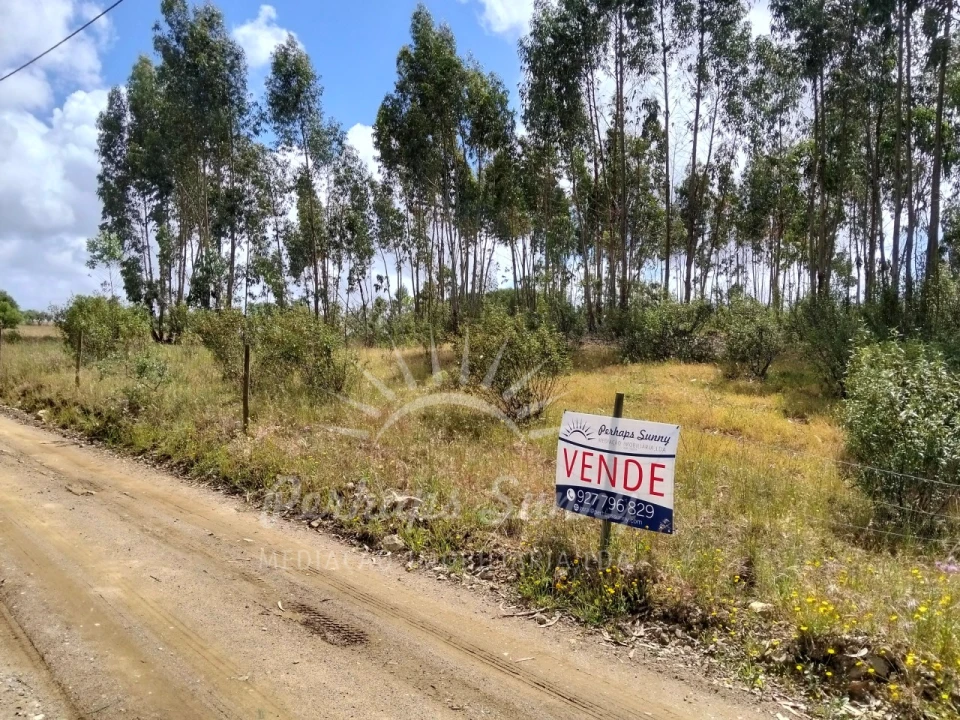 Terreno Misto para Venda em São Francisco da Serra Foto 32