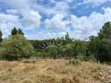 Terreno Misto para Venda em São Francisco da Serra