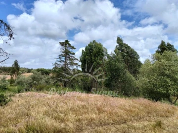 Terreno Misto para Venda em São Francisco da Serra