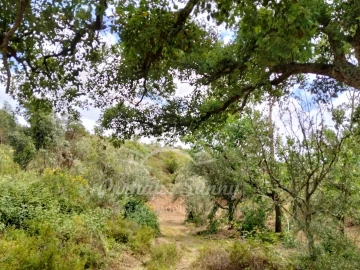 Terreno Misto para Venda em São Francisco da Serra