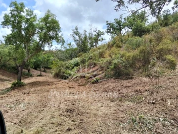 Terreno Misto para Venda em São Francisco da Serra