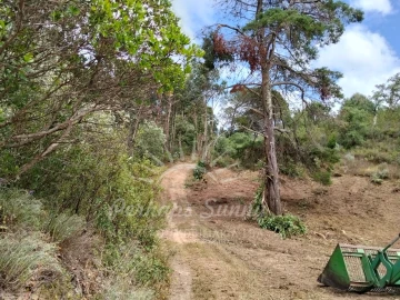 Terreno Misto para Venda em São Francisco da Serra