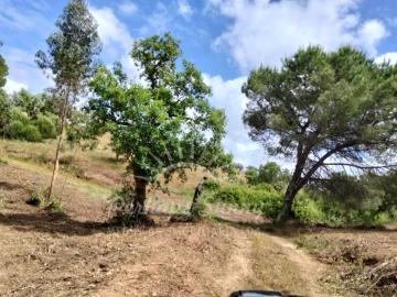 Terreno Misto para Venda em São Francisco da Serra