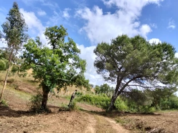 Terreno Misto para Venda em São Francisco da Serra