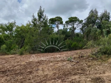 Terreno Misto para Venda em São Francisco da Serra