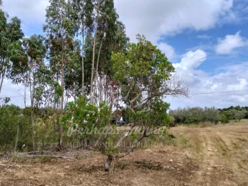 Terreno Misto para Venda em São Francisco da Serra
