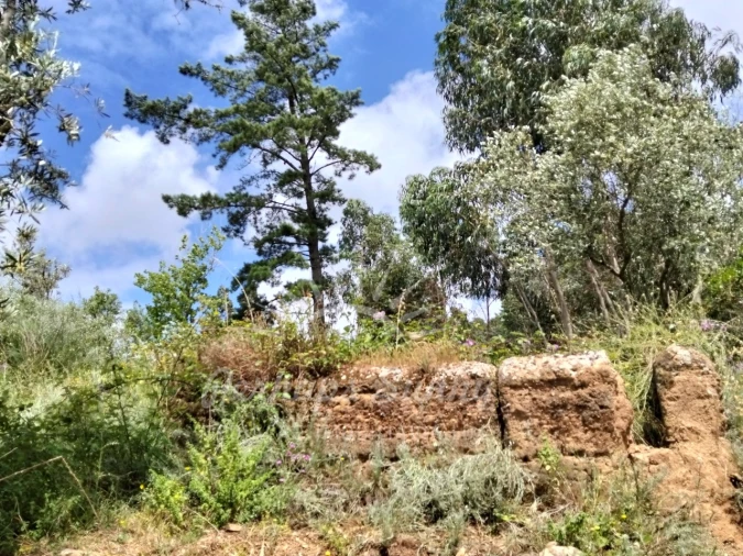Terreno Misto para Venda em São Francisco da Serra Foto 15