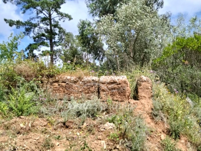 Terreno Misto para Venda em São Francisco da Serra Foto 16