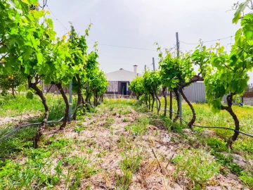 Moradia T4 para Venda em Grândola e Santa Margarida da Serra