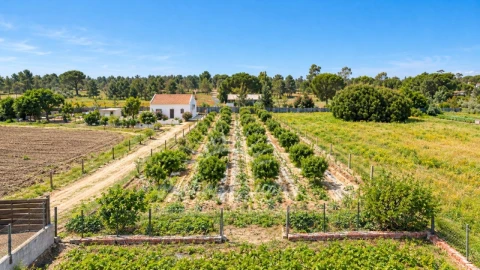Moradia T4 para Venda em Grândola e Santa Margarida da Serra