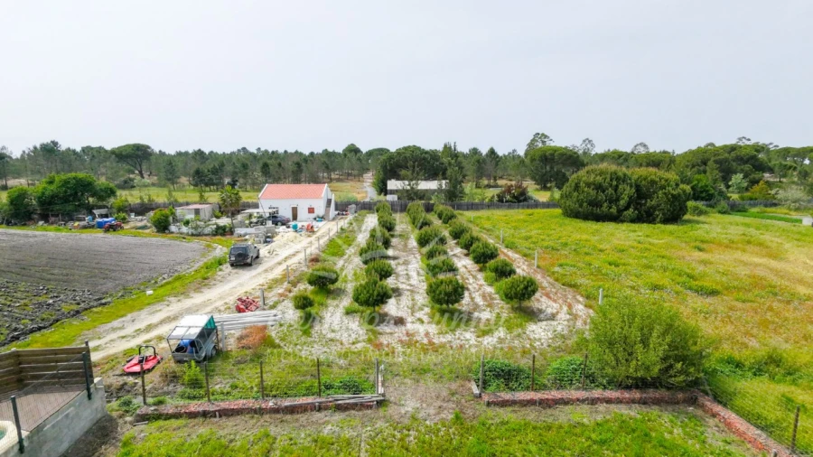 Moradia T4 para Venda em Grândola e Santa Margarida da Serra Foto 6