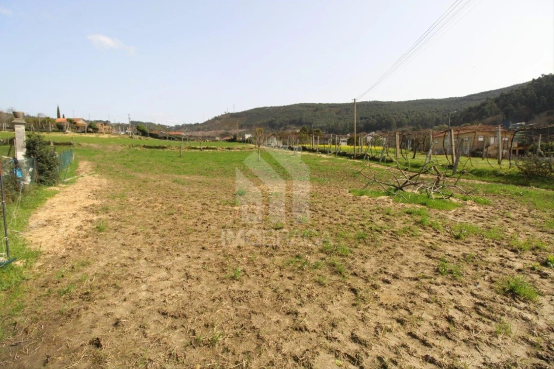 Moradia T3 para Venda em Este (São Pedro e São Mamede) Foto 9