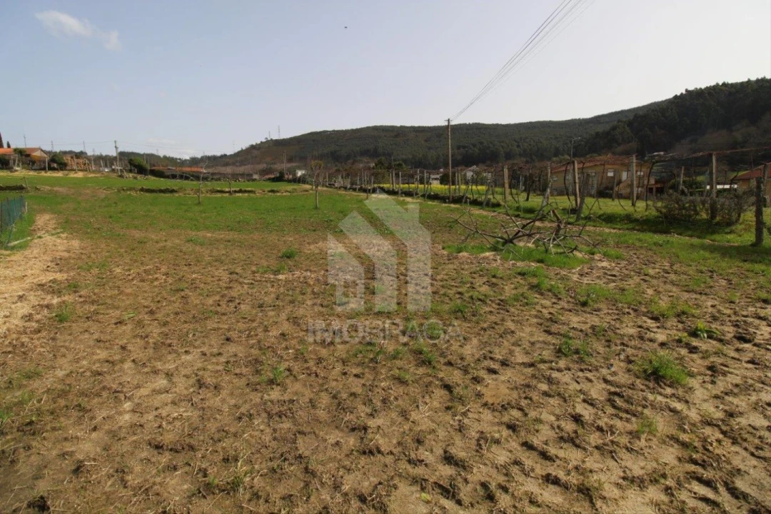 Moradia T3 para Venda em Este (São Pedro e São Mamede) Foto 11