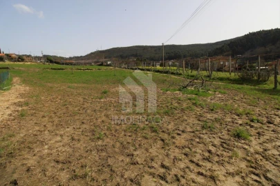 Moradia T3 para Venda em Este (São Pedro e São Mamede)