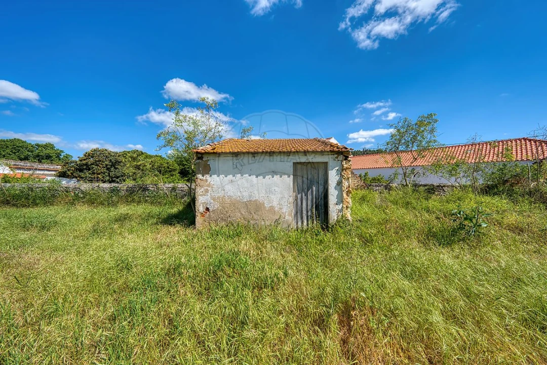 Moradia T3 para Venda em Vale de Santarem Foto 21