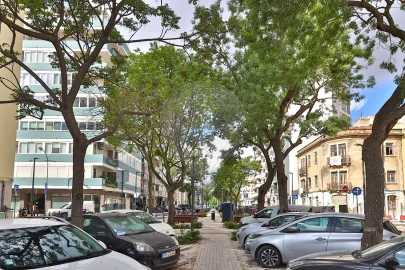 Apartamento T2 para Arrendamento em Avenidas Novas