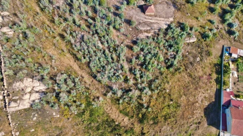Terreno para Venda em Penafiel