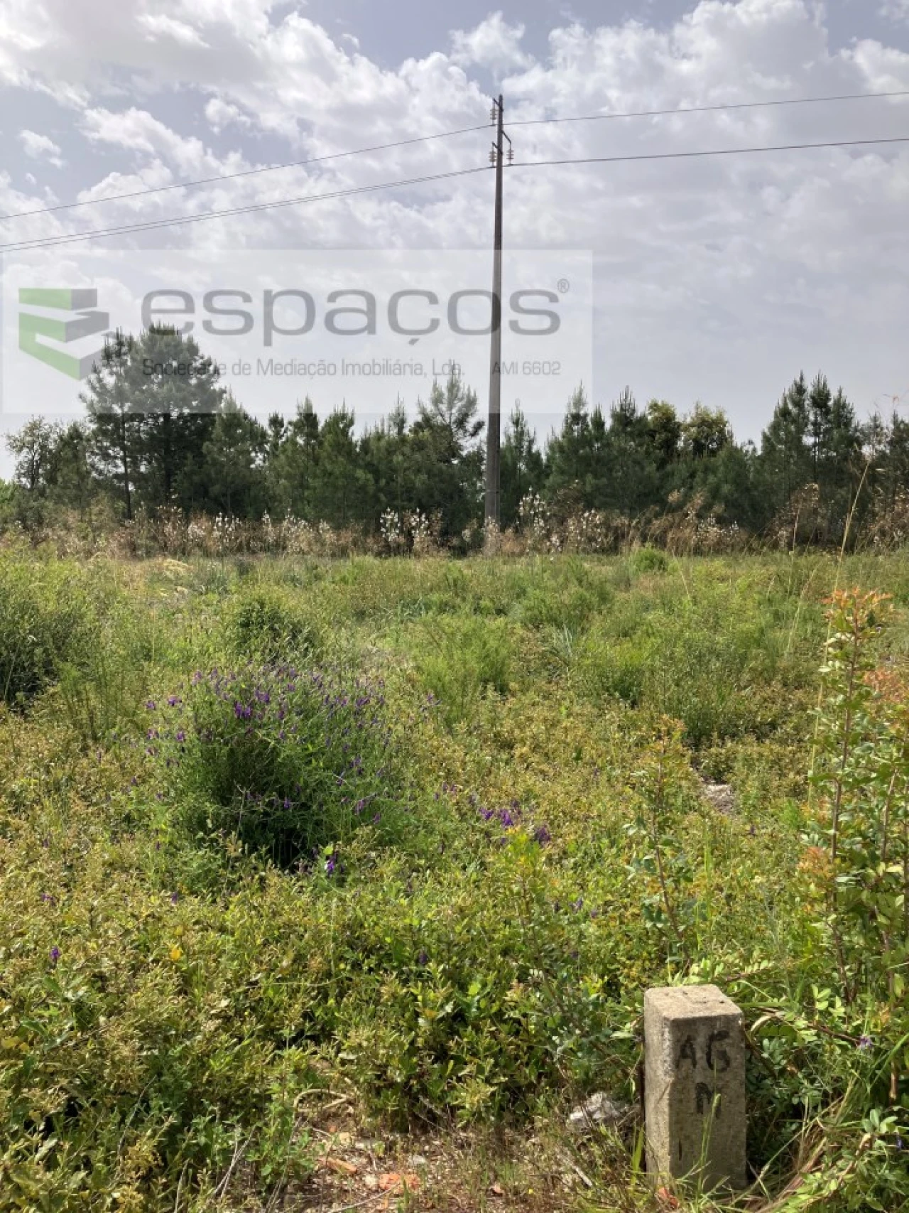 Terreno para Venda em Fernao Ferro Foto 2