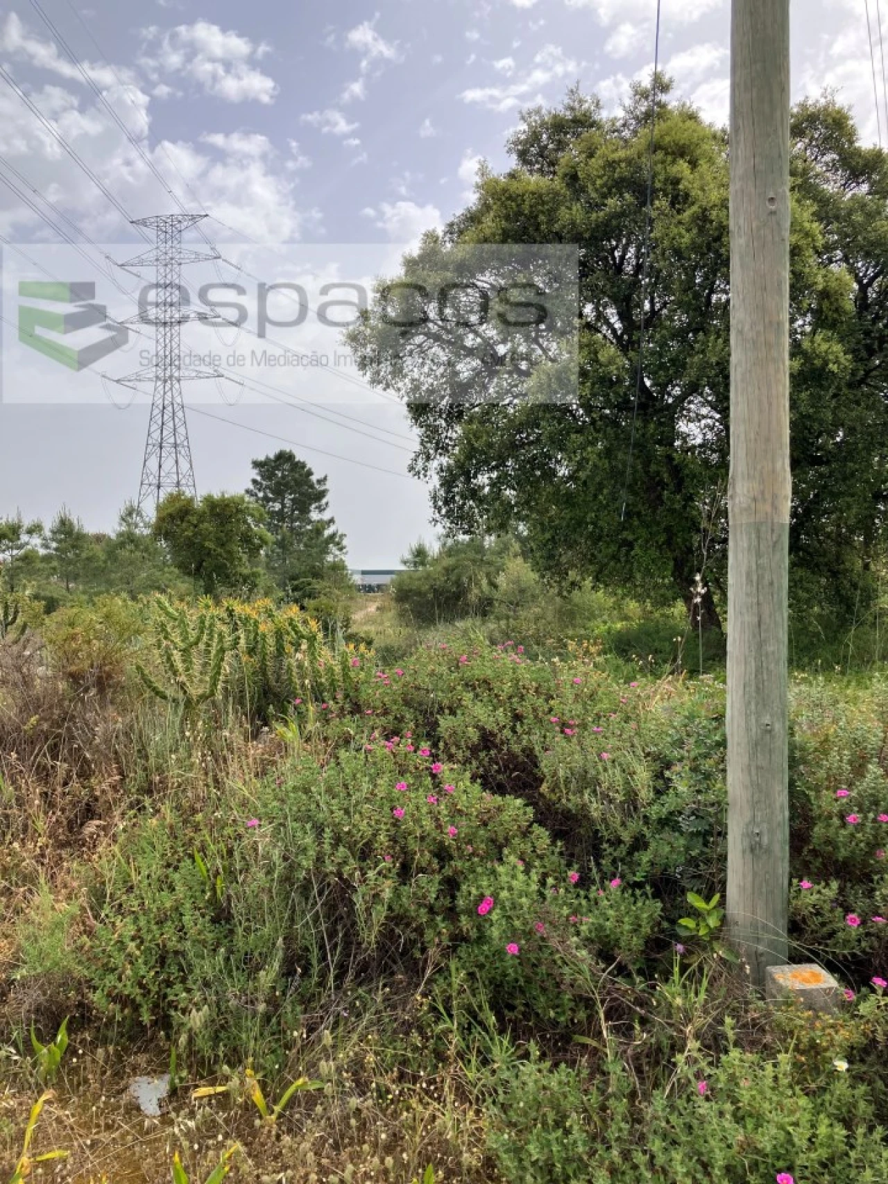 Terreno para Venda em Fernao Ferro Foto 3