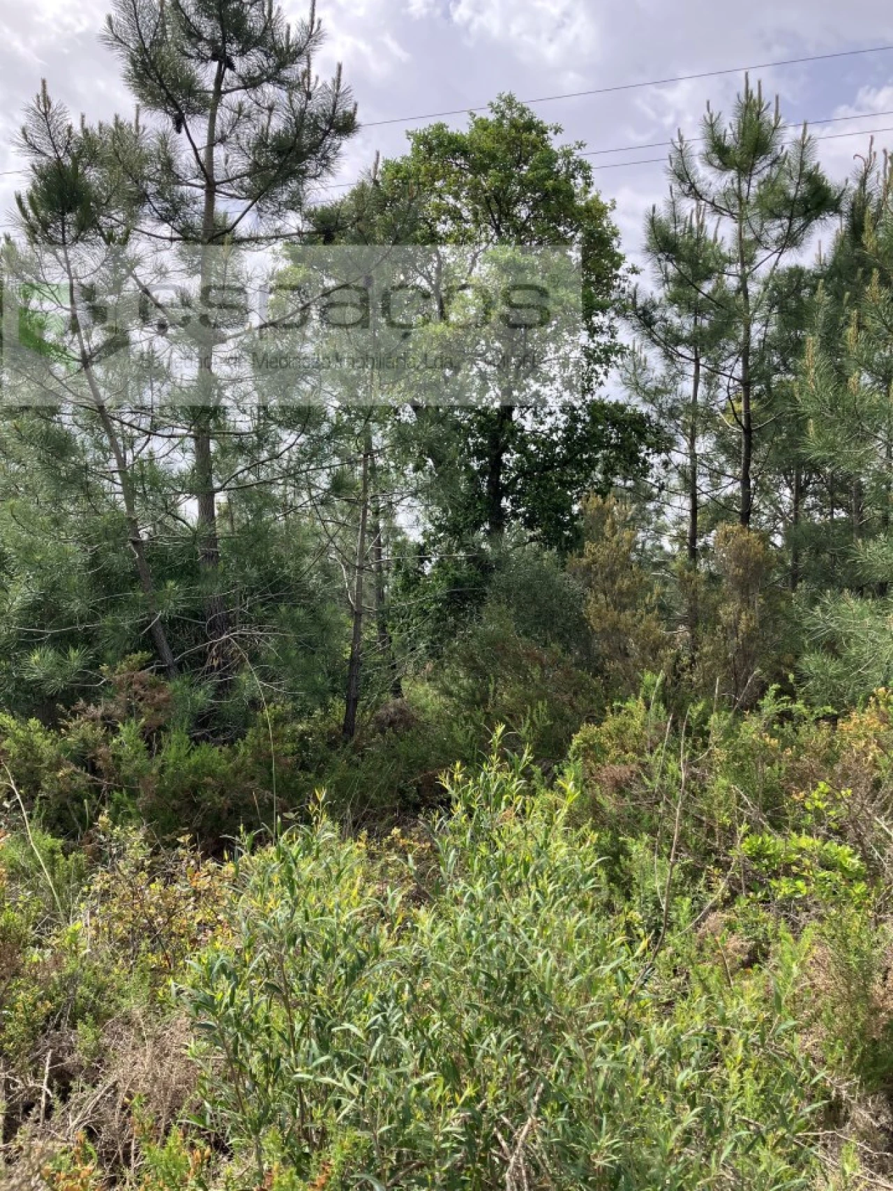Terreno para Venda em Fernao Ferro Foto 6