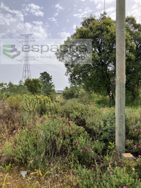 Terreno para Venda em Fernao Ferro