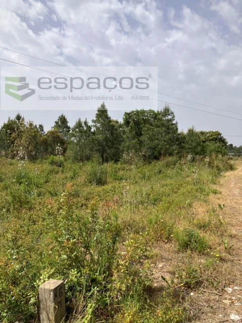 Terreno para Venda em Fernao Ferro