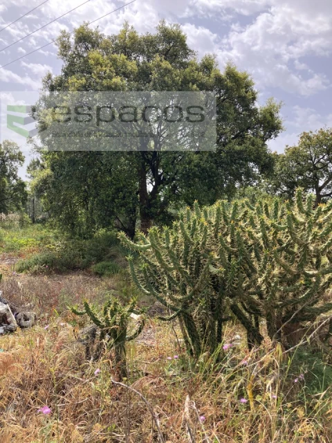 Terreno para Venda em Fernao Ferro